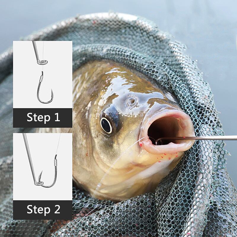 ที่ถอดเบ็ดตกปลา 2/6/8 ชิ้น ทำจ - Fishing Equipment Amazon บทวิจารณ์และราคา
